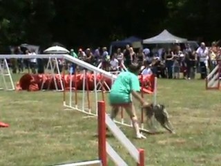 Baïla CH France Cibeins 2011 A