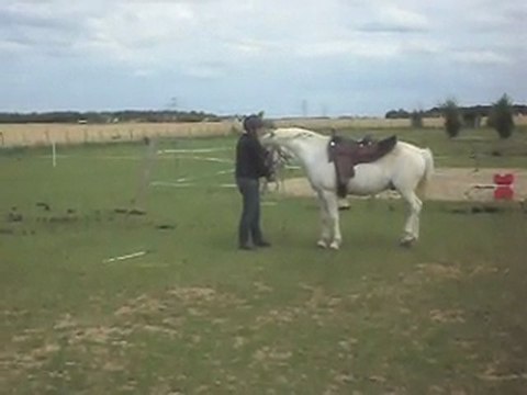 Poneys le dimanche détente entre adultes 19/06/2011.