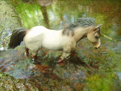 Photos d'eau par Schleich-Photos (montage par HorseGold)