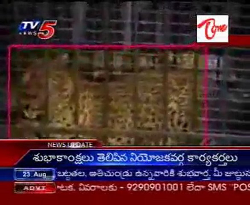 Tiger problem solved in Tirumala