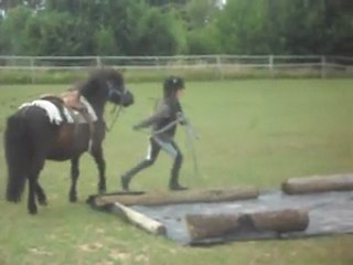 STAGE PONEY. Découvertes en main. 2) 19/06/2011