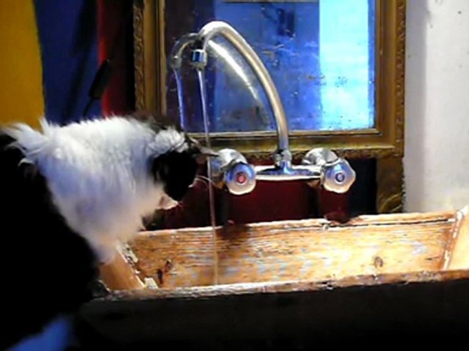 kéti et l'eau