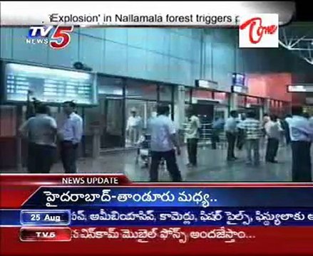 `Explosion' in Nallamala forest triggers panic