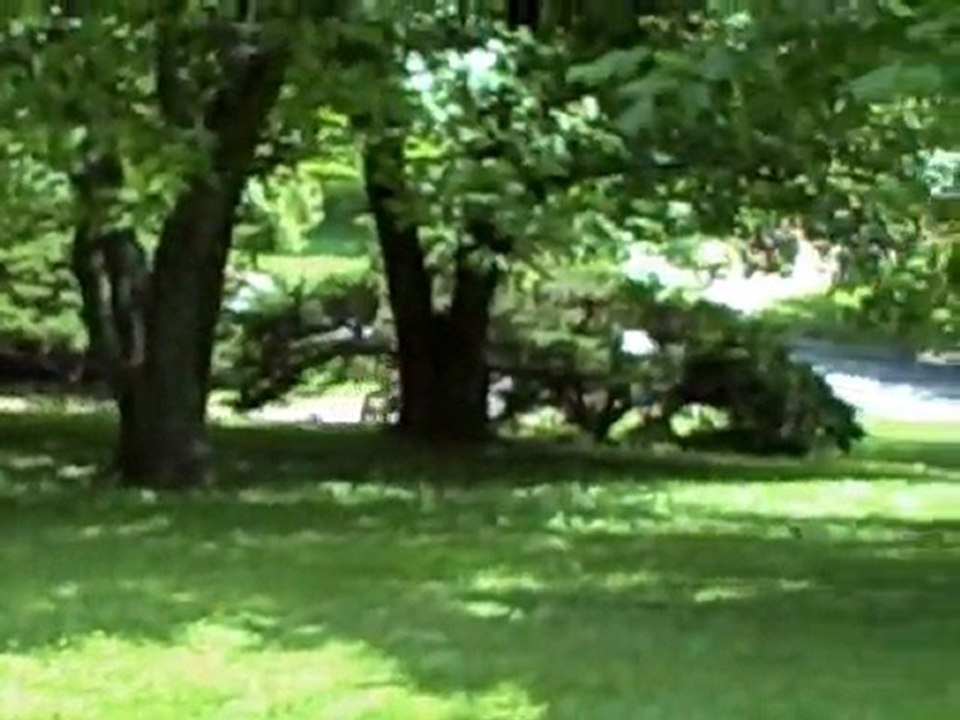 Mobile Motorcycle Mechanic, Auto Repair Shop, St Louis, St Charles, PMC Super Tuners, SUV,Truck, Van, Car Repair Help