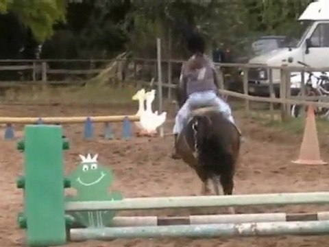 Concours Poney Lison