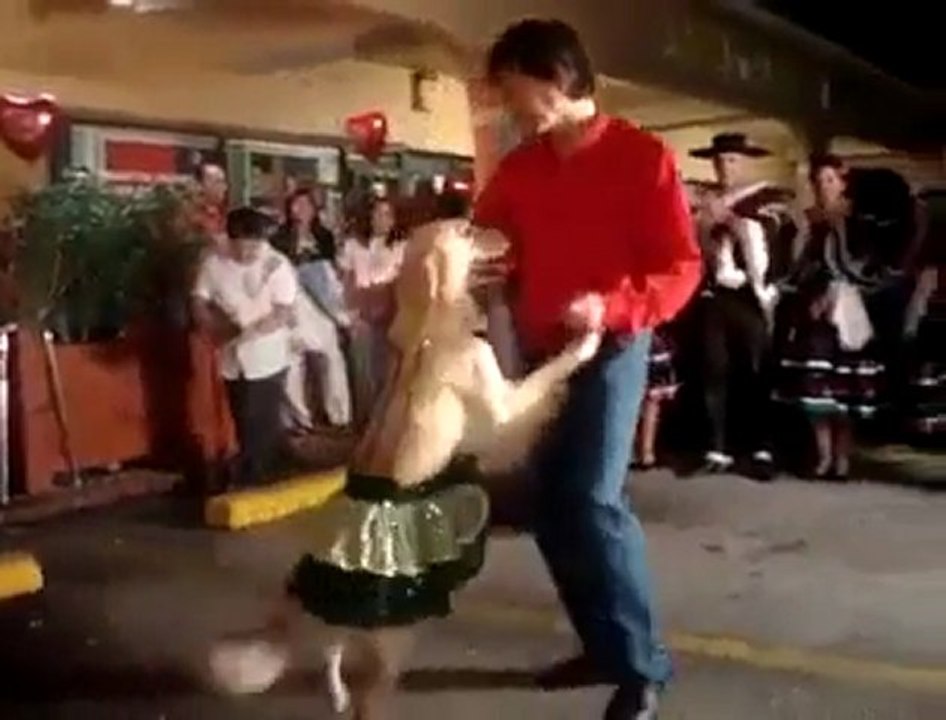 Dancing Dogg