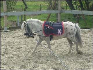 Mon amour depuis le 18-Sept.-2010 !