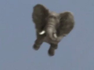 Un "Jumbo" atterrit (lol) - "Jumbo" is landing (lol)