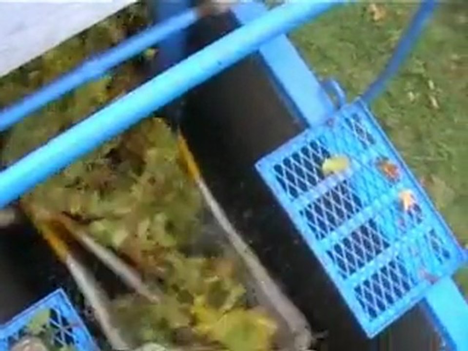 Machine Harvesting Wine Grapes