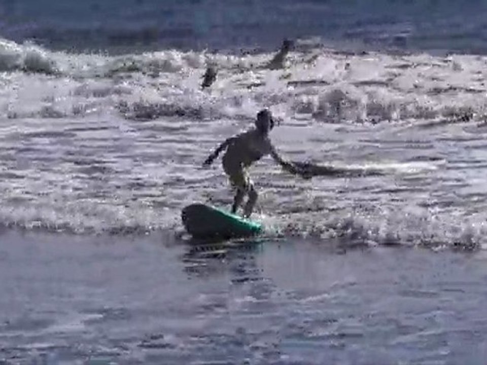 sam