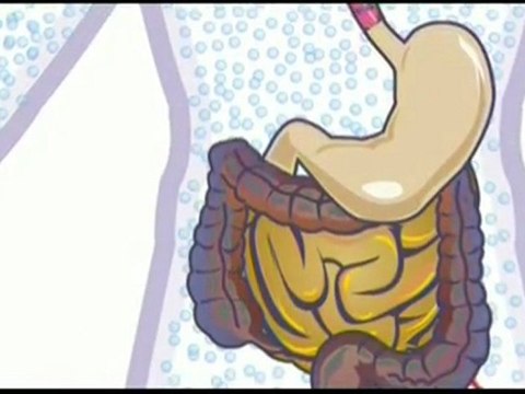 Cavalaire Pratique - L'hydratation 1
