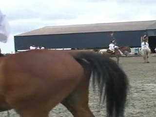 Carrousel 2011 ► les Dingues