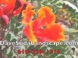 San Diego Commercial Landscape Companies