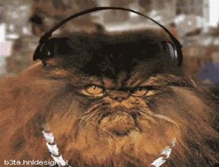 Les effets du stress au boulot