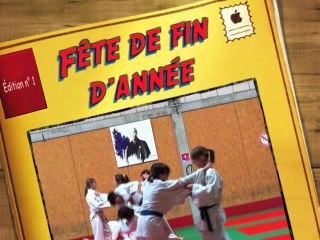 fin d'année 2010/2011