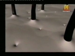 Sudor: Desodorantes y antitranspirantes