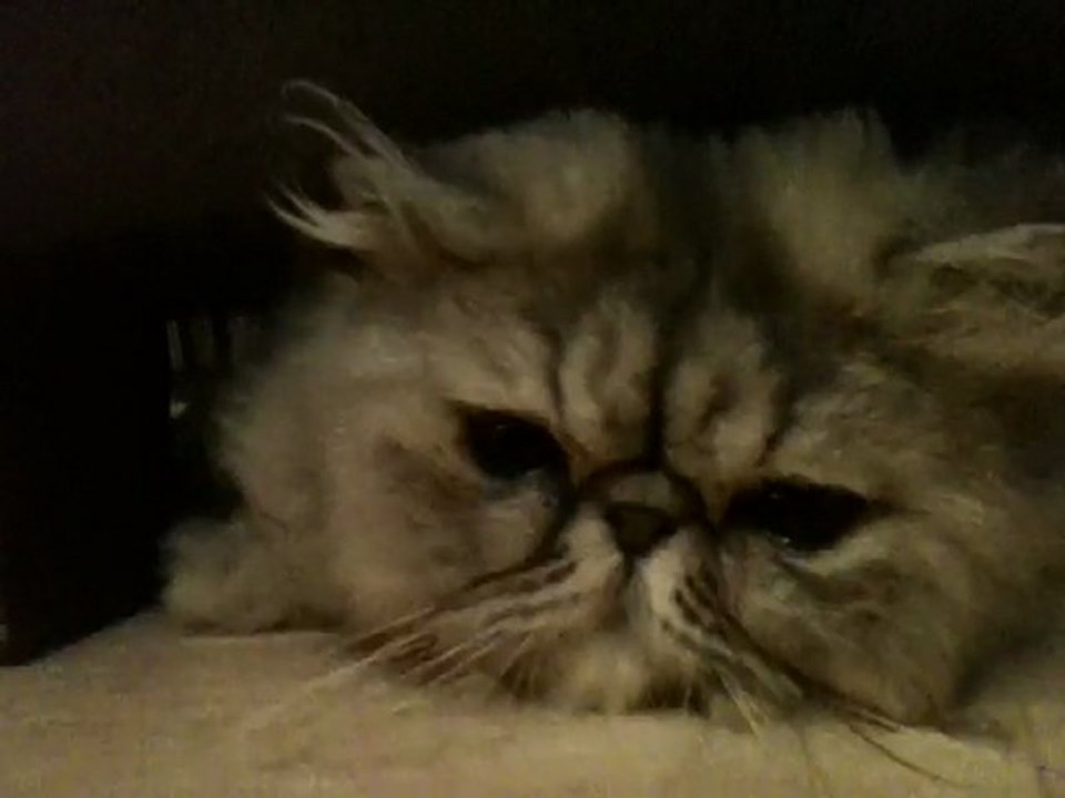 un monstre sous mon canapé