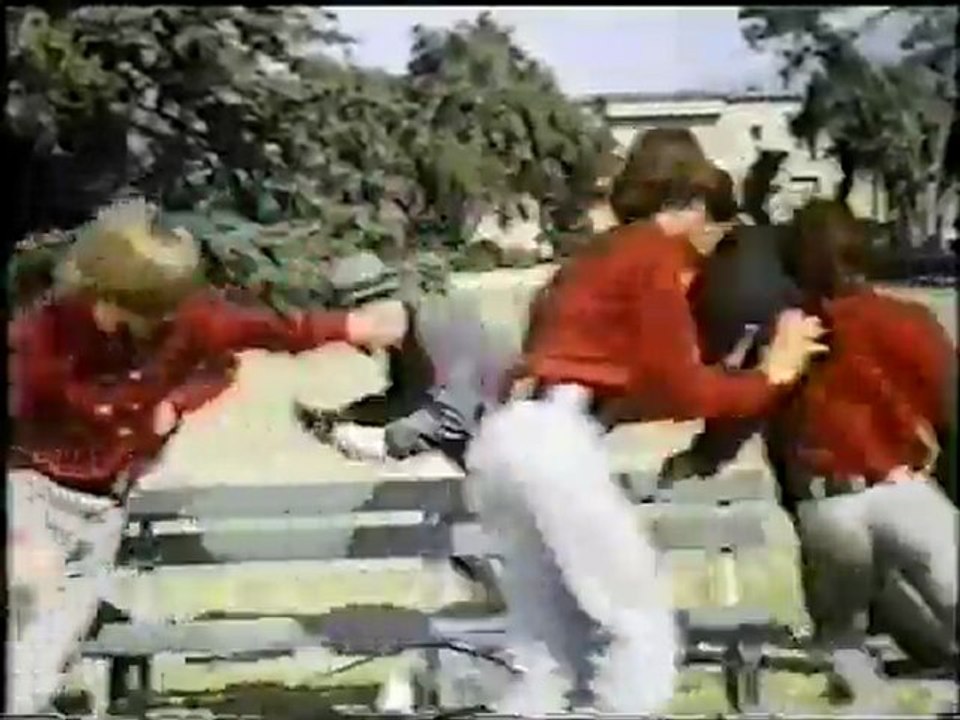 MONKEES - THE GIRL I KNEW SOMEWHERE