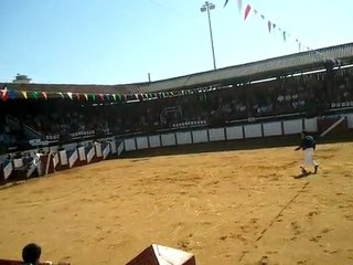 course landaise morcenx vache sans corde