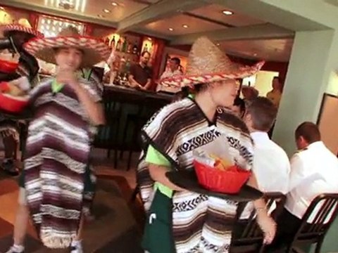 Delectable Additions: Radiance's New Dining Venues