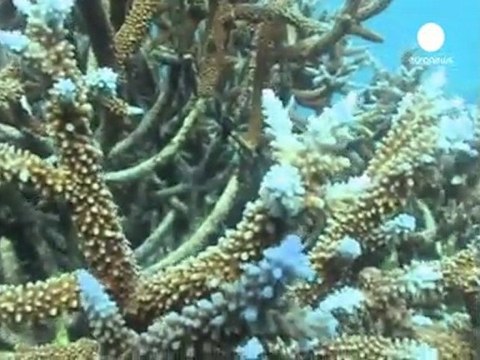 Environmental doomsday unless oceans are respected