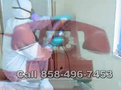 Mold Remediation San Diego Call 858-496-7453 for Mold ...