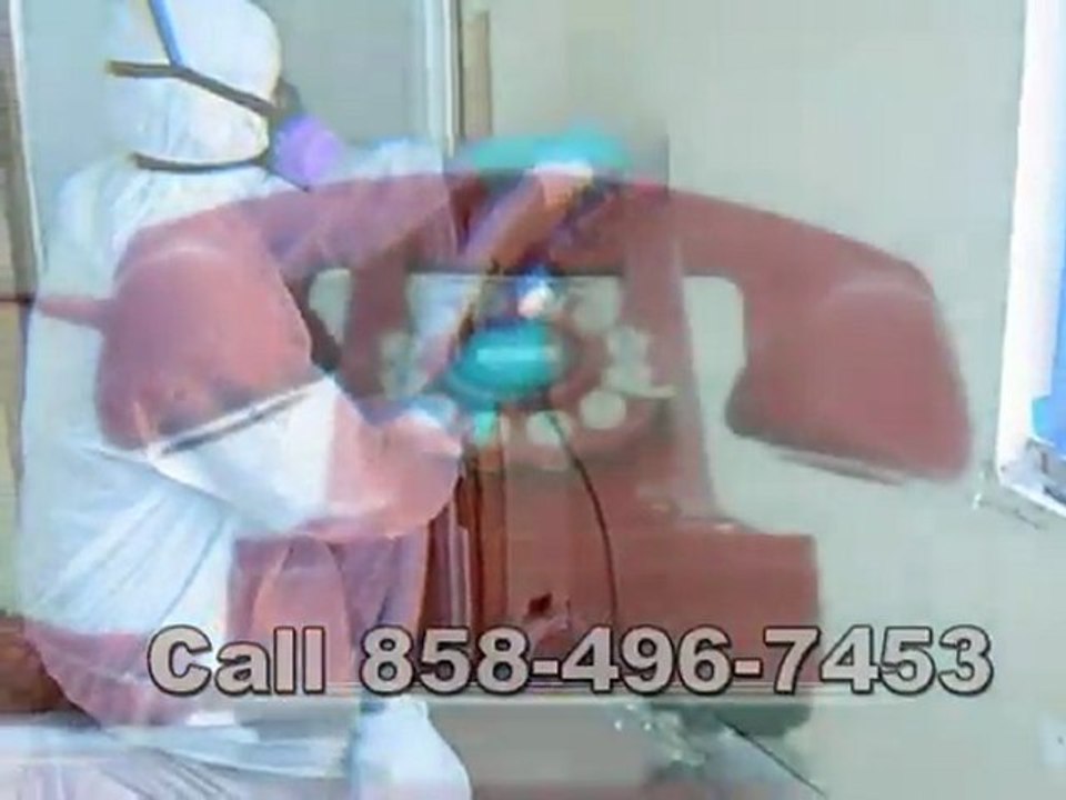 Mold Remediation San Diego Call 858-496-7453 for Mold ...