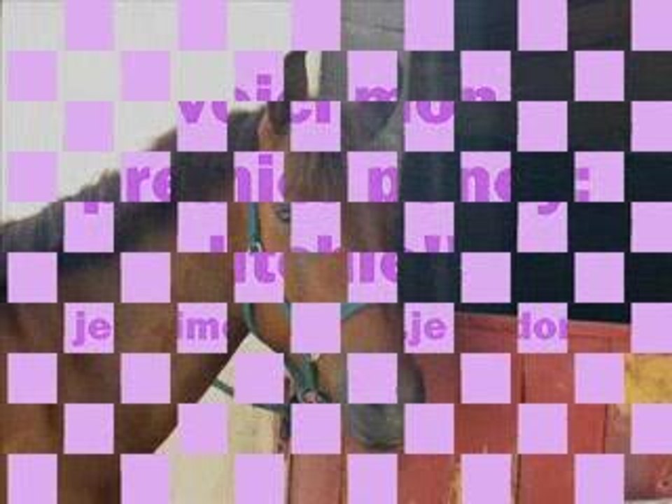 montage lilie!!