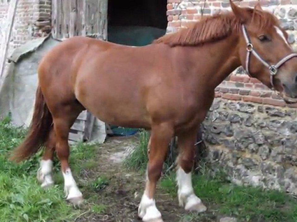 mon film uno