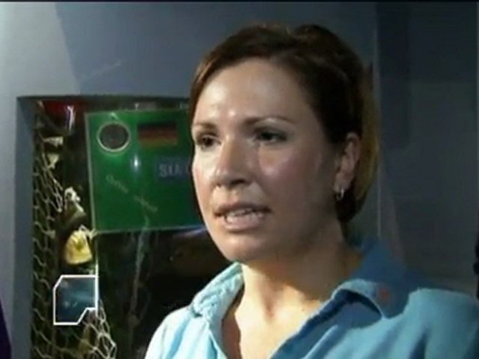 Der Tentakel-Orakel-Hype geht weiter