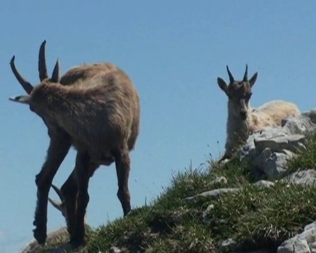 Traversée du Grand Veymont 2341 m -Vercors
