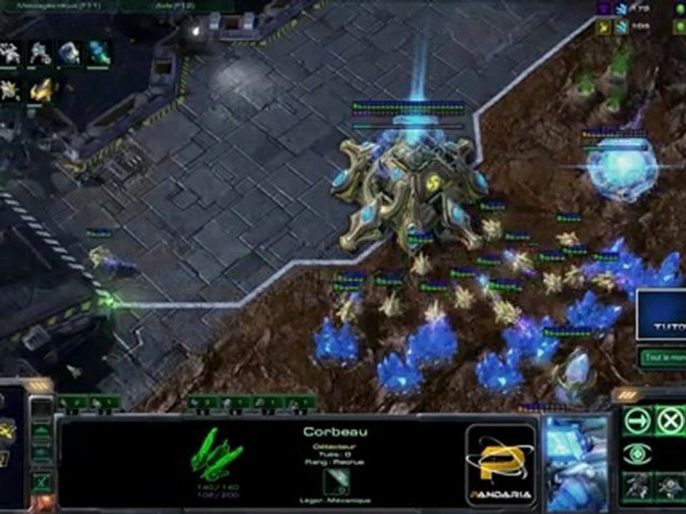 Replay 2 Pandaria - SaS VS NSG - TvP - HD - FR