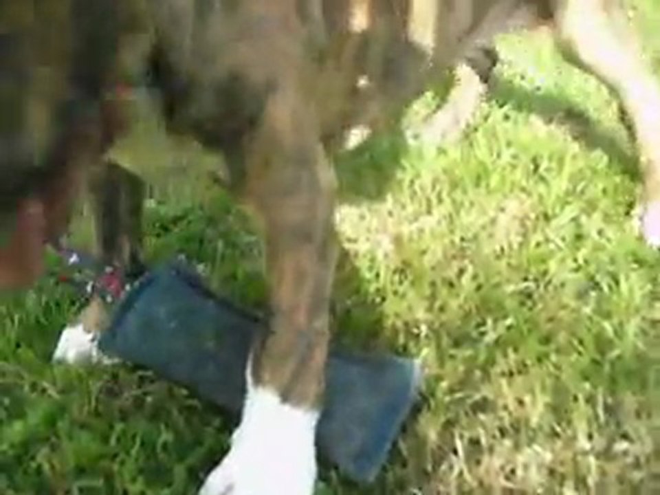 vidéo du 24.06.2011 da la fifille
