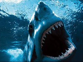 Shark Night 3D Movie Trailers HD