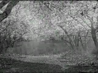 yıldız çam - uzayıp giden o tren yolları