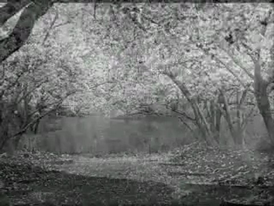 yıldız çam - uzayıp giden o tren yolları