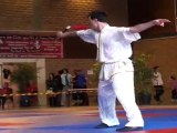 Championnat de France de Kung Fu Traditionnel 2011 (Cléon) 10/36 Armes seniors - Epée à deux mains