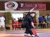 Championnat de France de Kung Fu Traditionnel 2011 (Cléon) 11/36 Armes seniors - Sabre 1