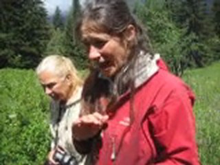 Le jardin d' Emilie -51