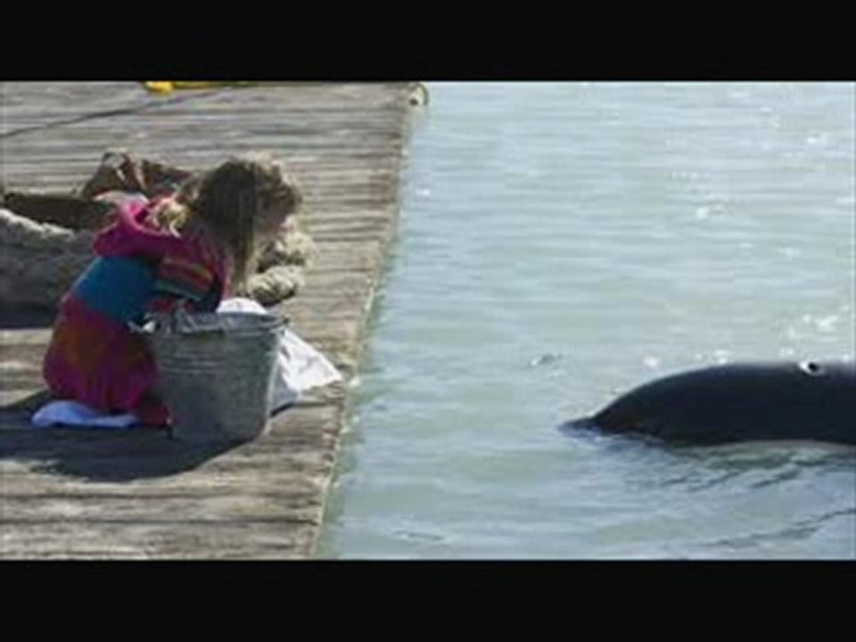 Free Willy Escape from Pirate’s Cove Movie Part 1 HD Full Free