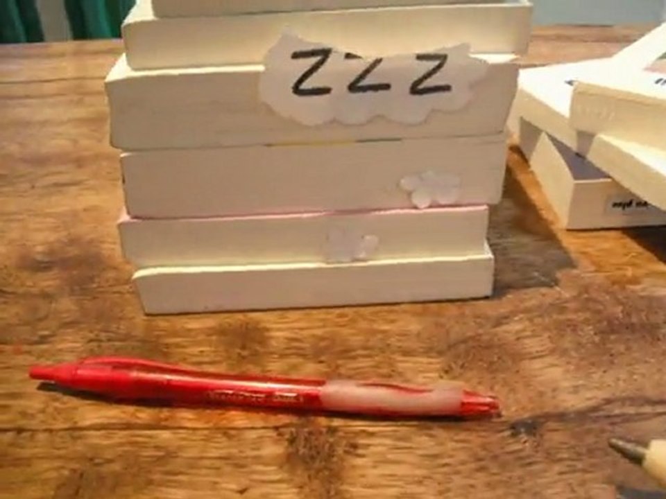 Clara Delaunay_Une vie de stylo