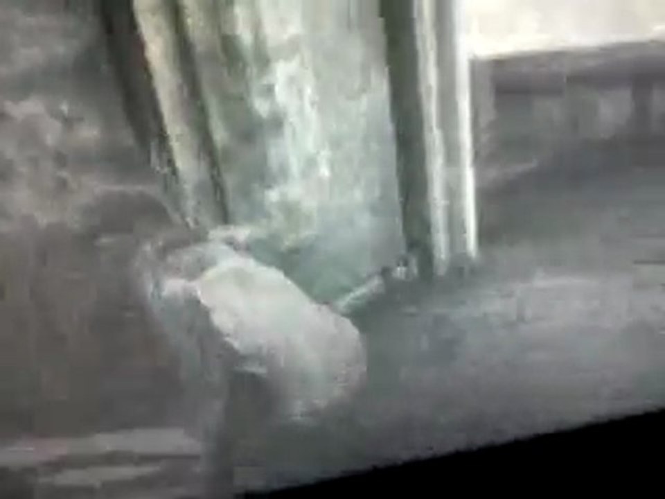 Vidéo0094