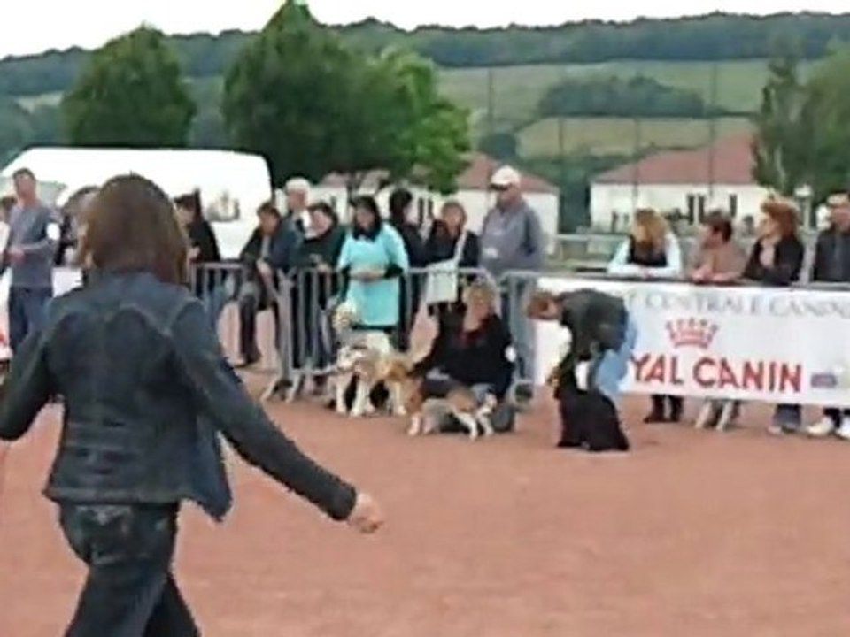 Best in Show Jeune Semur en Auxoi 2011