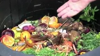 Garden Compost: Learn How To Compost