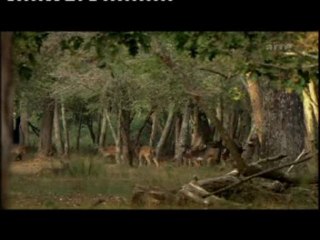 La Sardaigne Sauvage 2sur3