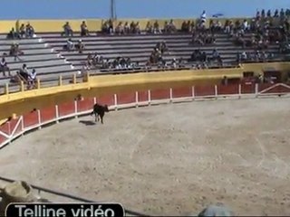 fête du cheval 20 juin 2011 telline