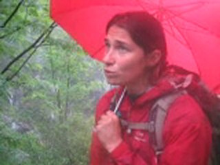 Le jardin d'Emilie-15