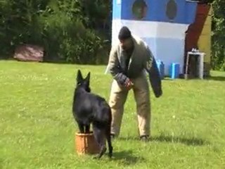 gotcha garde d'objet 22 mois