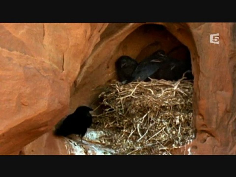 Les Canyons De L'Ouest Sauvage 3sur3