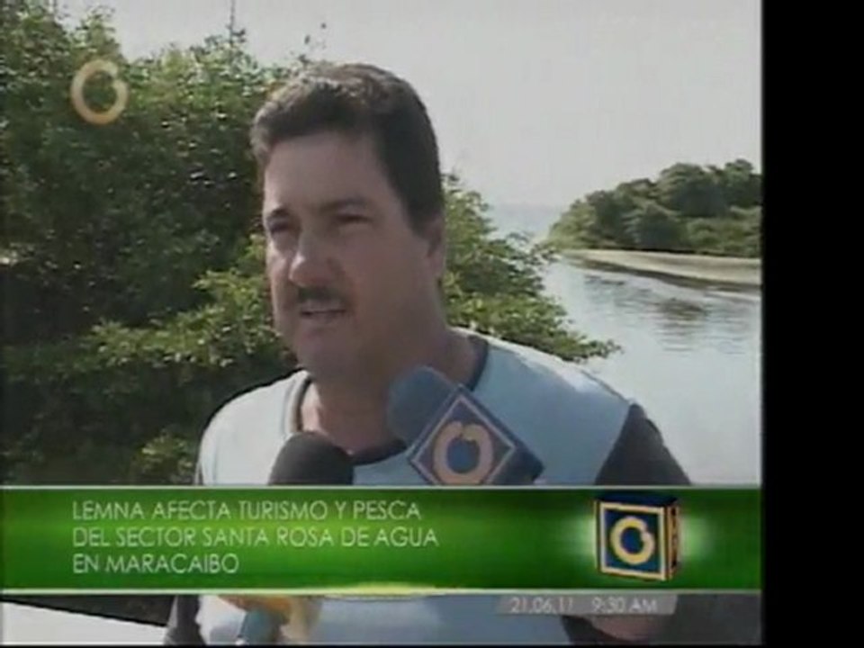 Lemna afecta en el Zulia
